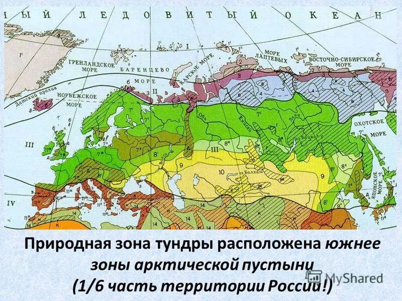 Поверхность природной зоны. Тундра на карте природных зон. Тундра на карте России природных зон. Зона тундры расположена южнее. Название природной зоны тундры.