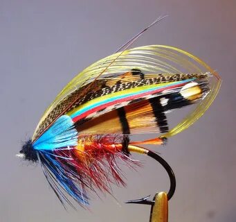 New fly