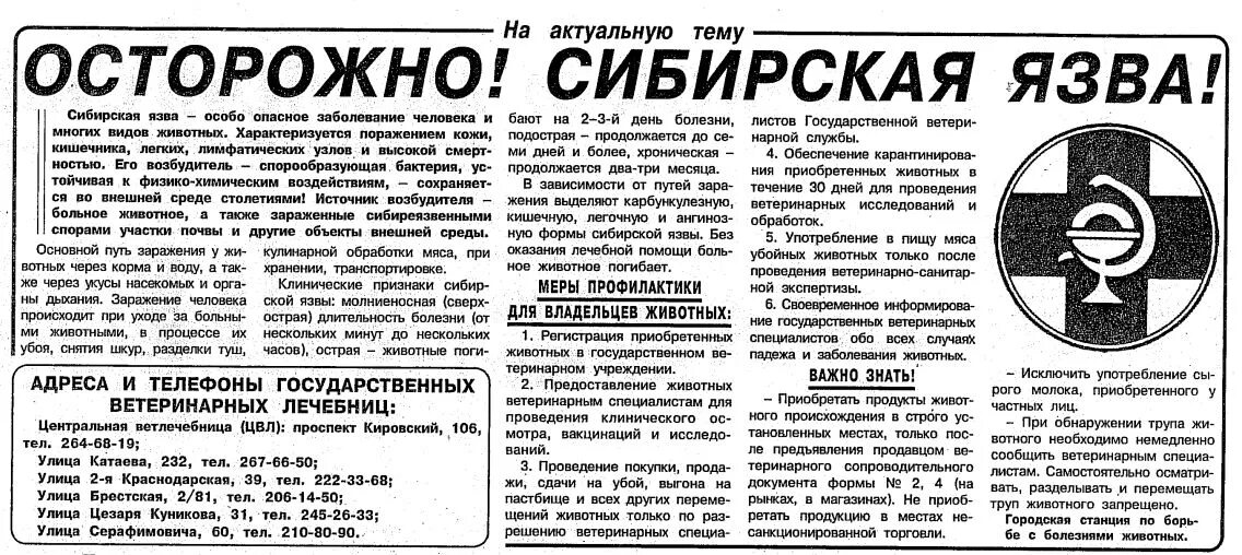 Бизнес по сибирски. Подарочный набор «секреты сибирского чая». По сибирски правило. По сибирски правило. Бизнес по сибирски.