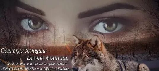 Песня одинокая волчица mp3. Словно одинокая волчица. Одинокая волчица девушка. Просто одинокая волчица. Одинокая волчица фото.