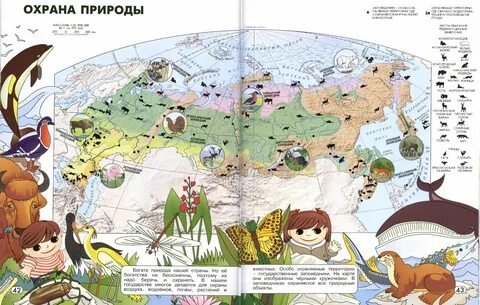 Человек географическая карта