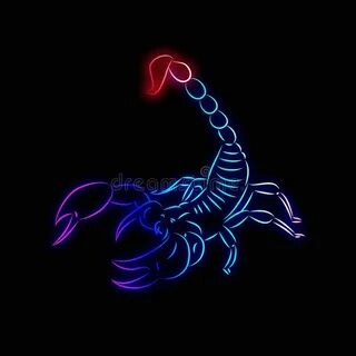 Змея скорпион 2024 год
