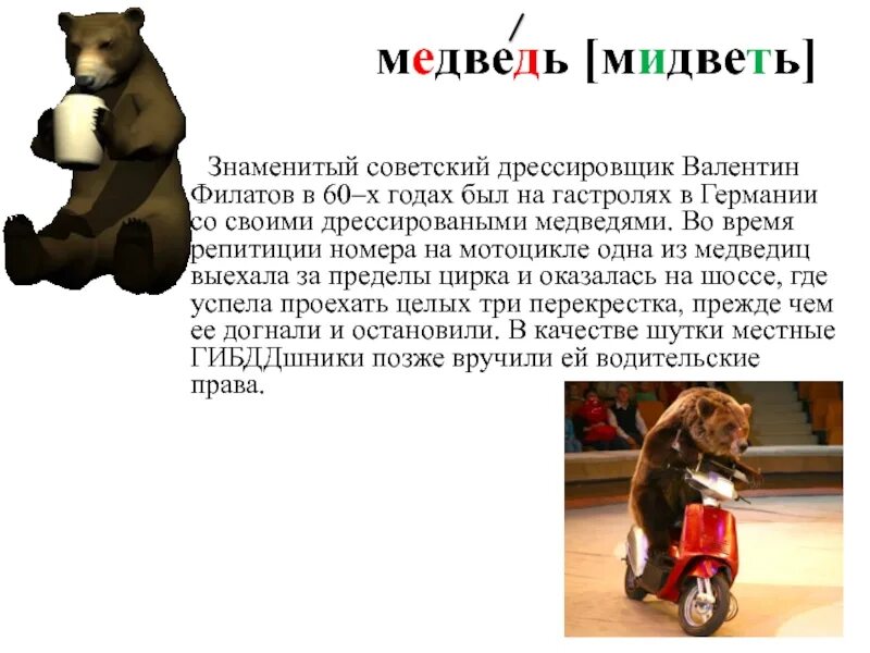 Как пишется слово дрессировка. Дрессировка собак. Команда ко мне для собак жест. Методы дрессировки собак. Чему дрессировать собаку.