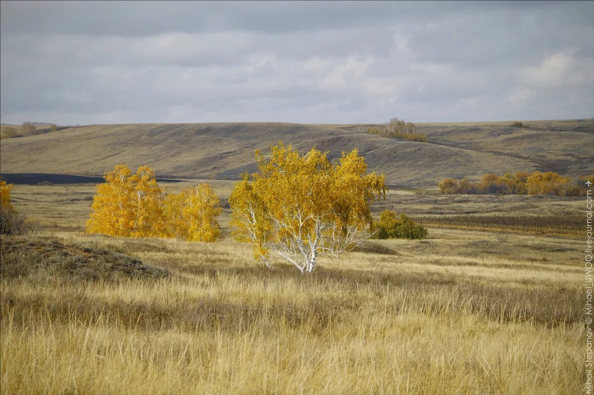 Родной край оренбургская область. Оренбургская область осень. Пейзажи Оренбургской области. Пейзажи Оренбургского края. Зауральская степь.