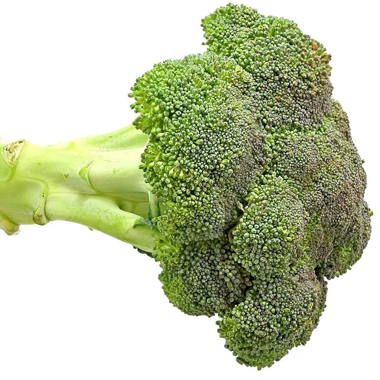 Брокколи просто. Брокколи (broccoli) пвз 2. мини зелень брокколи. брокколи vitamin c. атлет с брокколи.