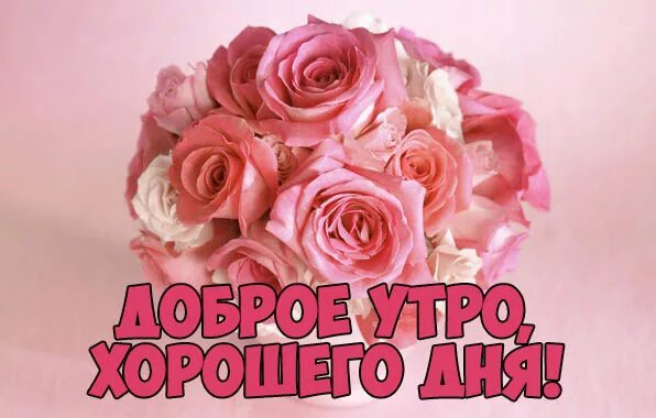 Доброго Утра! Rose
