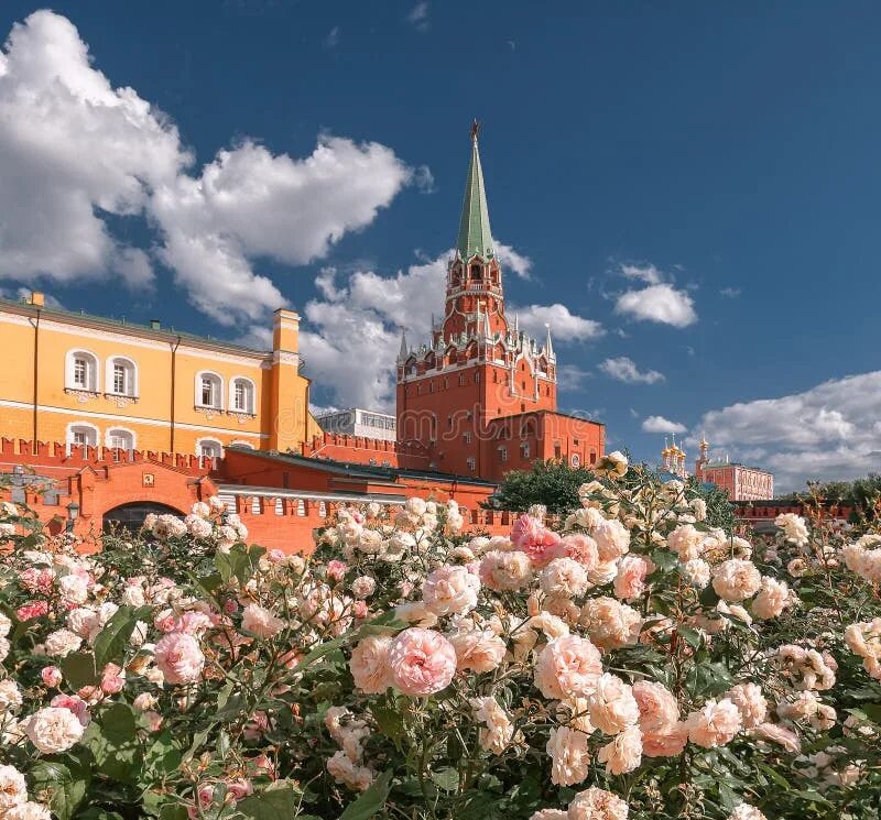 Московский кремль цвета. Московский кремль александровский сад. кремль в цветах. цветы в александровском саду в москве. кремлевские цветы.