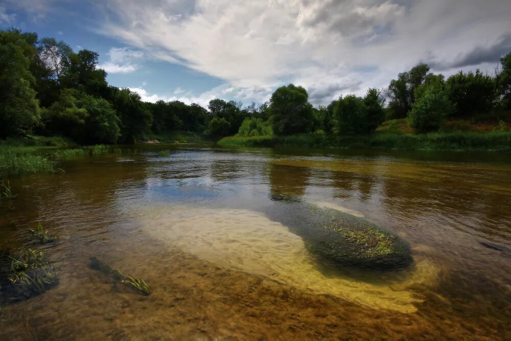 Северский Донец река. Вода река Северский Донец. Река Вонча чистая.