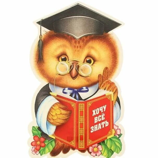 Сова день знаний. Умная сова. Сова учитель. Рисунки на школьную тему. Сова день знаний.