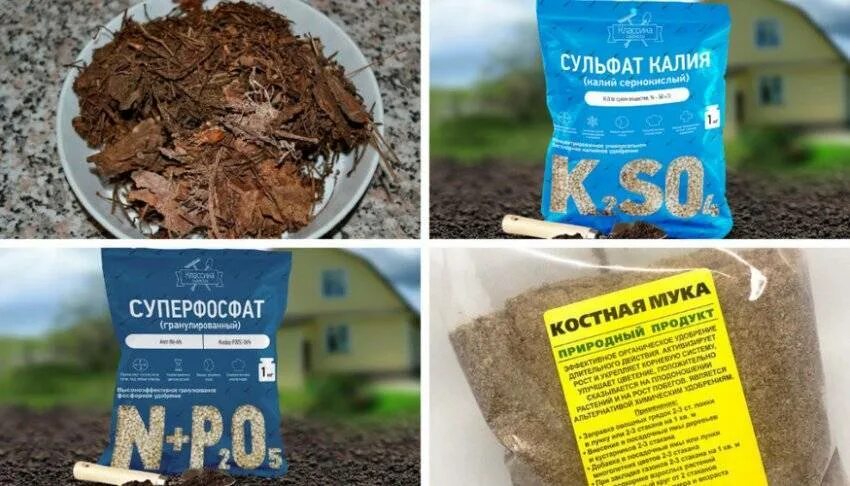 Как подготовить грунт для гортензии. Грунт для гортензии. посадка гортензии в грунт. почвогрунт для гортензии крупнолистной.