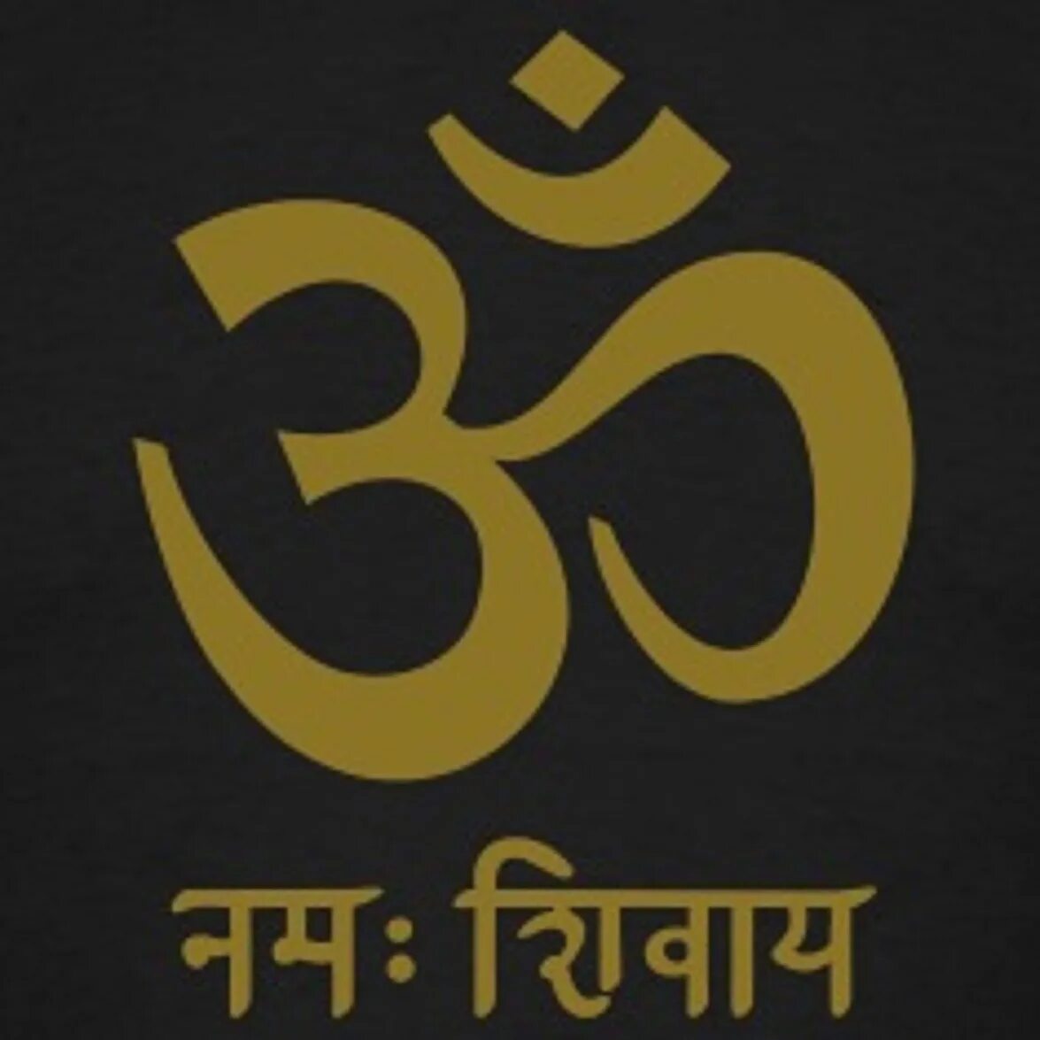 Om Namah Shivaya санскрит. Ом Намах Шивая на санскрите. Мантра ом Намах Шивайя на санскрите. Ом надпись на санскрите. Шивайя нама ом значение