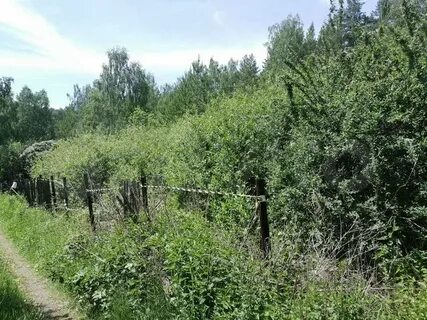 Участок кыштым