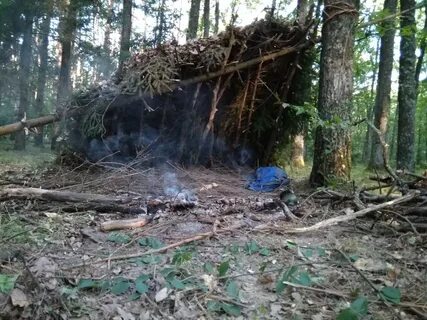 Матраган видео в лесу