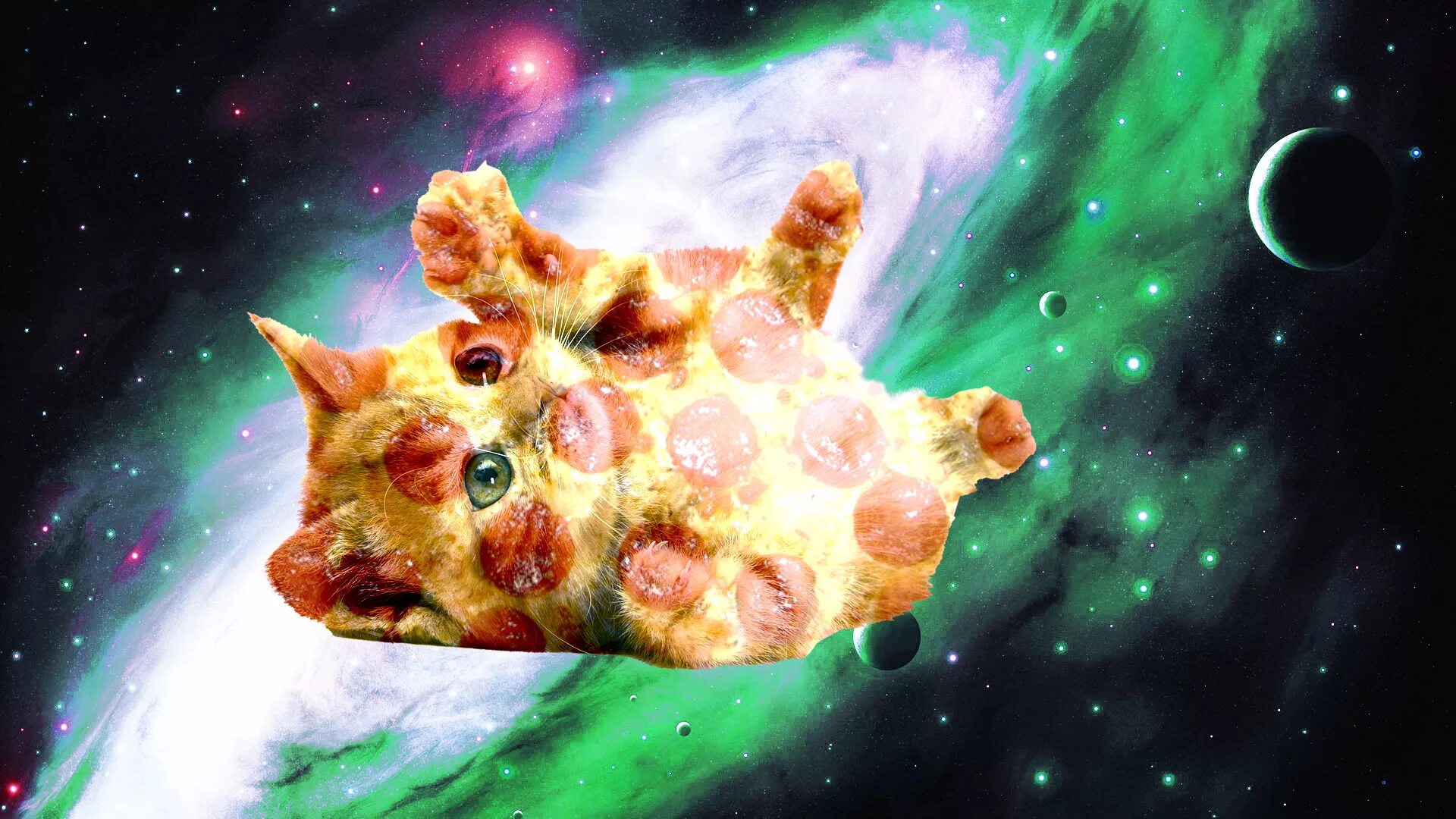 Космическая кошка. Кот в космосе. Космические звери. Космические милые животные. Смешной космос