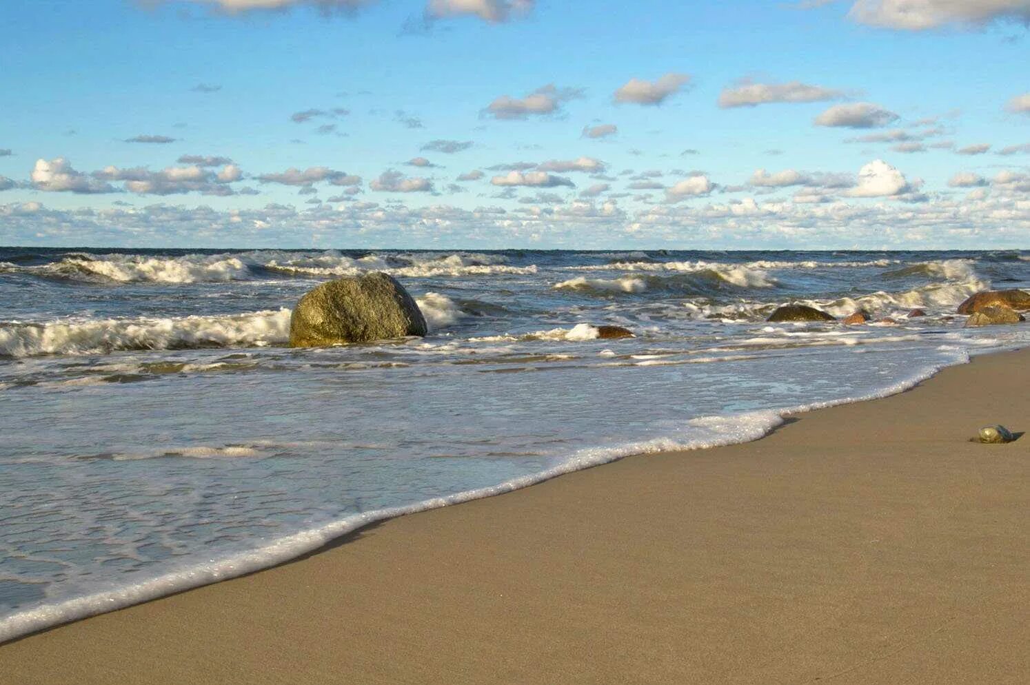 Балтийский залив калининград. Калининградская область теплая вода. Калининград пляж. Берег балтики зеленоградск светлогорск. Калининград зеленоградск пляж.