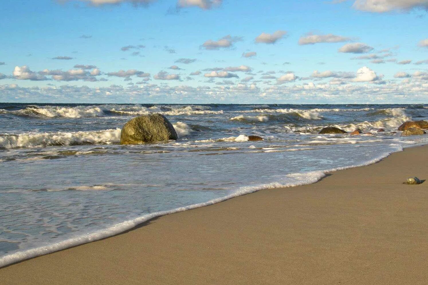 Балтийский берег морская. Балтийское море Светлогорск. Балтийское море Зеленоградск. Берег Балтийского моря Зеленоградск. Балтийское море Светлогорск пляж.