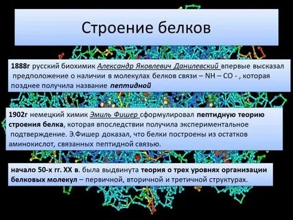 Функции белка химия