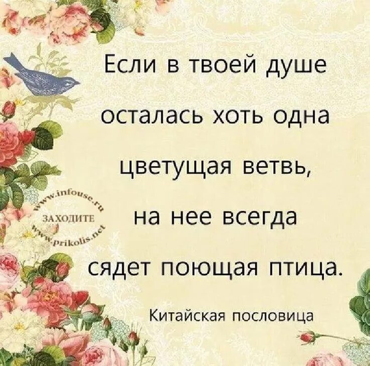 Цветущая душа стихи. Весеннее настроение. Открытки со стихами о весне. Цветущая душа стихи. Цветущая душа стихи.