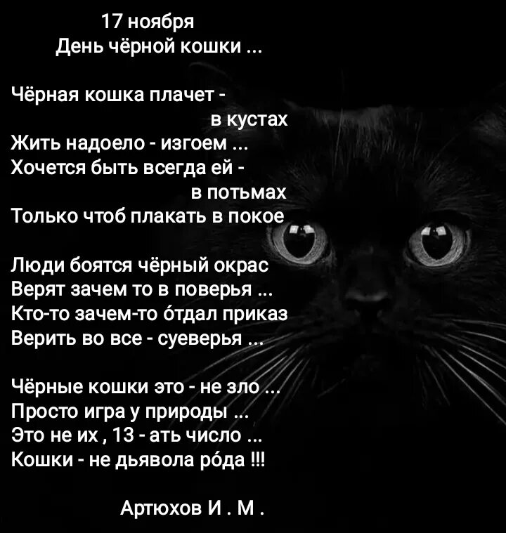 Стих про черного кота. Стихи про чёрных кошек. Стишок про черного котика. Стих про черного котика. День котов стихи