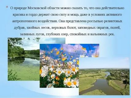 Московская область окружающий мир 3 класс