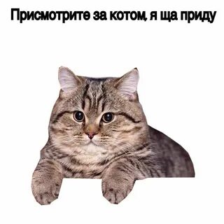Не смотрите на меня сегодня
