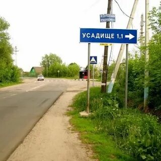 Погода в усадище