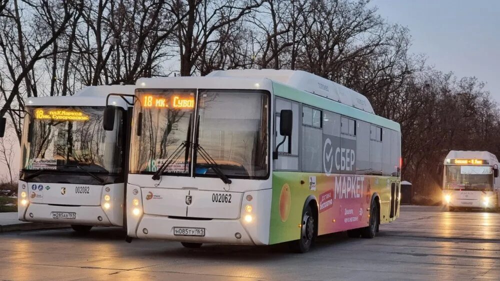 1 автобус суворовский. Новые автобусы в ростове на дону. 81 автобус. старые автобусы. автобус гармошка ростов-на-дону.