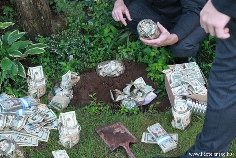 Как можно найти деньги. Закопать деньги в земле. тайник с деньгами в лесу. грядка с деньгами. нашел деньги в лесу.