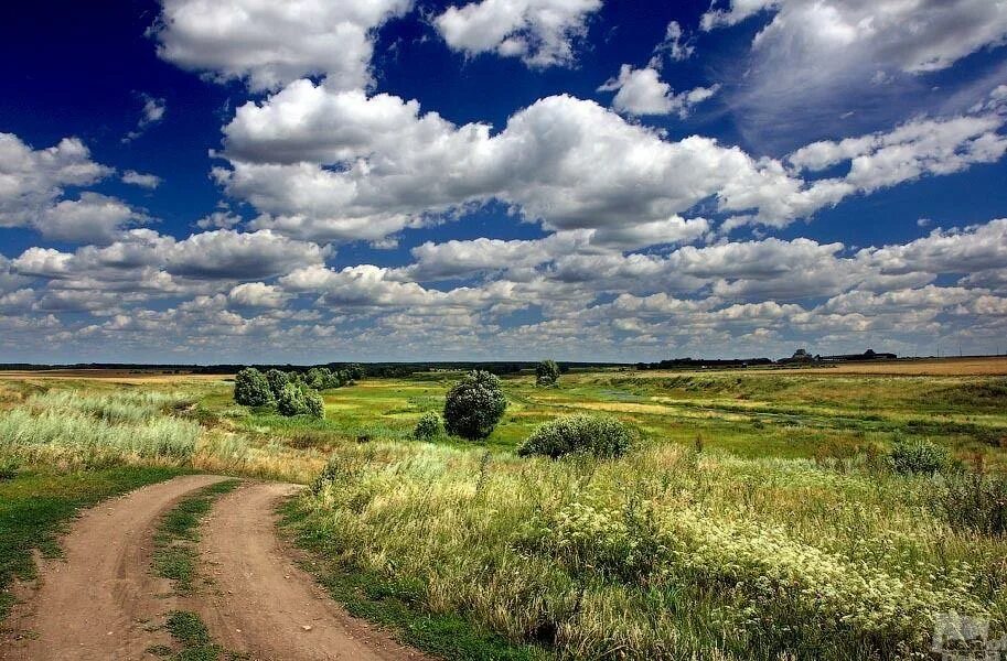 Родное коренное. Пейзажи Липецкой области. Пейзажи России. Летний пейзаж. Красота русской природы.