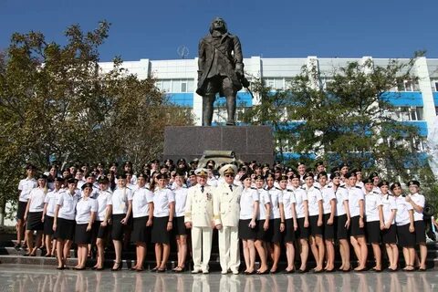 Филиалы университетов в новороссийске