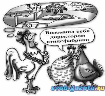 У меня сын директор птицефабрики
