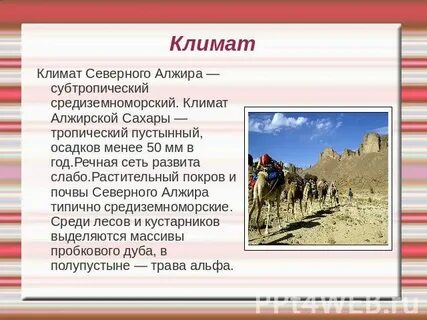 Алжир какой пояс