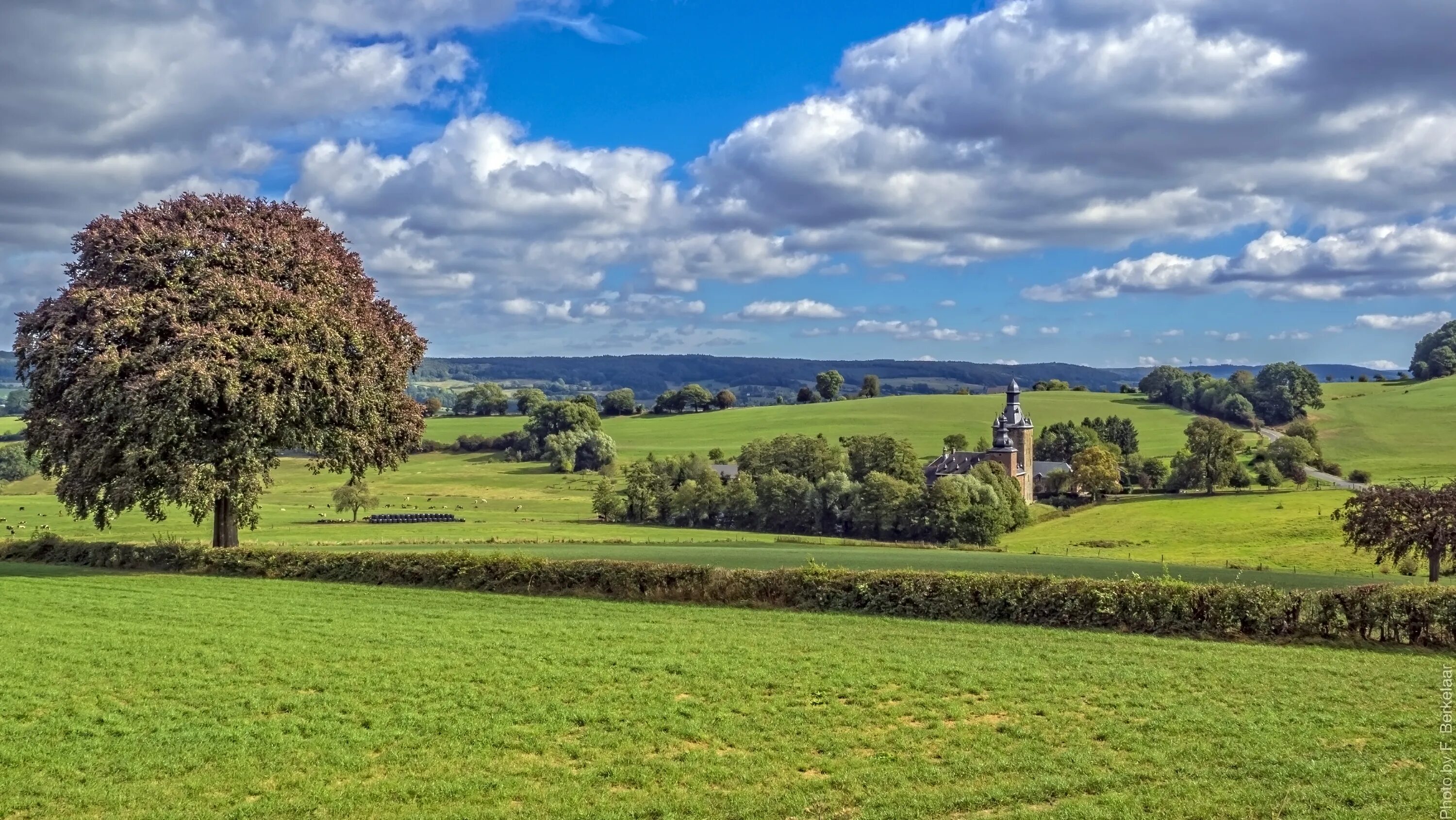 Decided to the countryside. Королевство Бельгия природа. Долина Семуа Бельгия. Прибрежные равнины Бельгия. Ландшафт Бельгии.