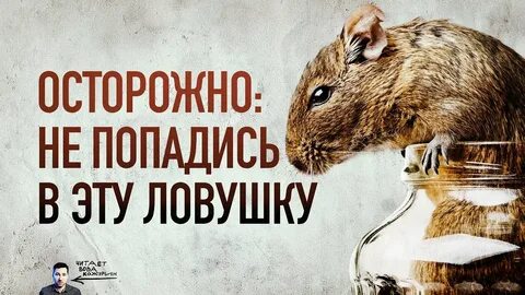 Однажды мышь запрыгнула на самый верх банки