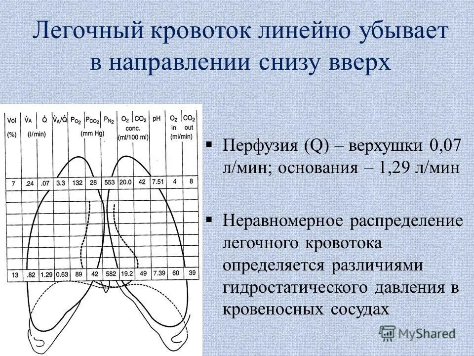 Особенности легочного кровообращения