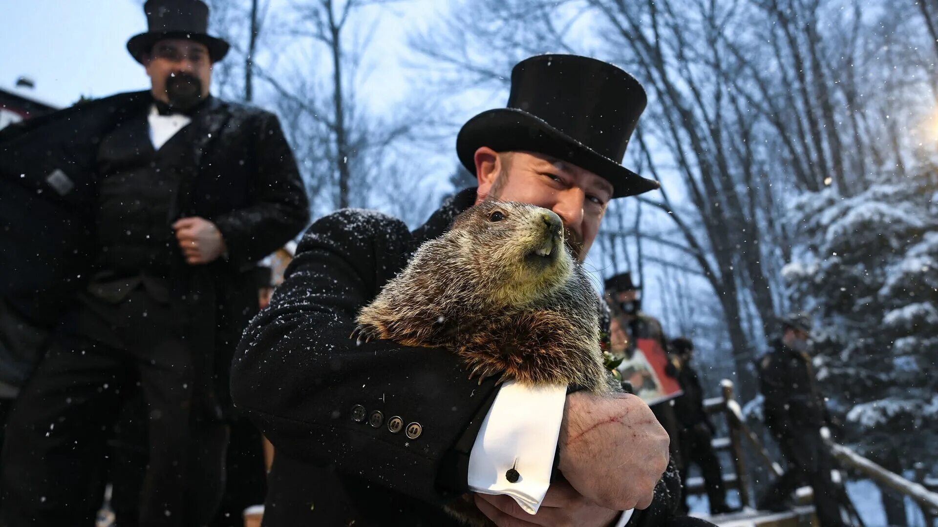 Марий эл день сурка. Сурок фил сша. Punxsutawney phil. Панксатонский фил сурок. Марий эл день сурка.