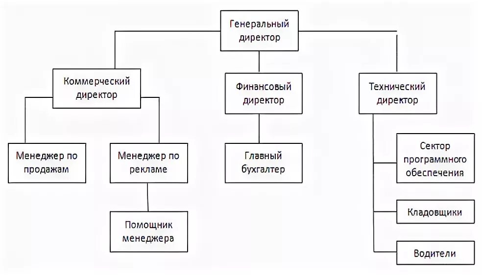 Директор и генеральный директор отличия. Генеральный директор и коммерческий директор. Финансовый директор коммерческий директор. Коммерческий директор отличие от генерального директора. Организационная структура генеральные и комерческий директор.