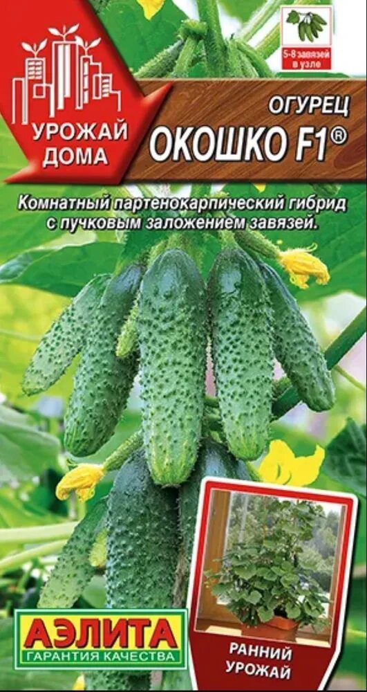 Огурец окошко отзывы фото