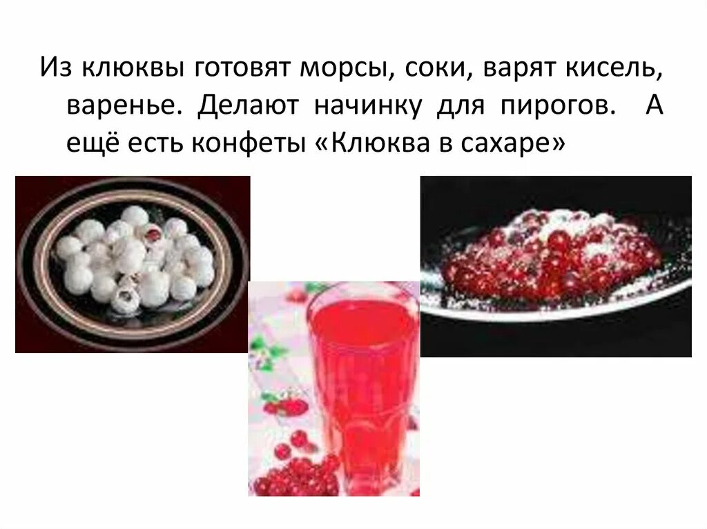 Объясни выражение ожерельем рассыпана клюква. Клюква презентация. ожерельем рассыпана клюква объяснить. ожерельем рассыпана клюква объяснить выражение. клюква выражение.