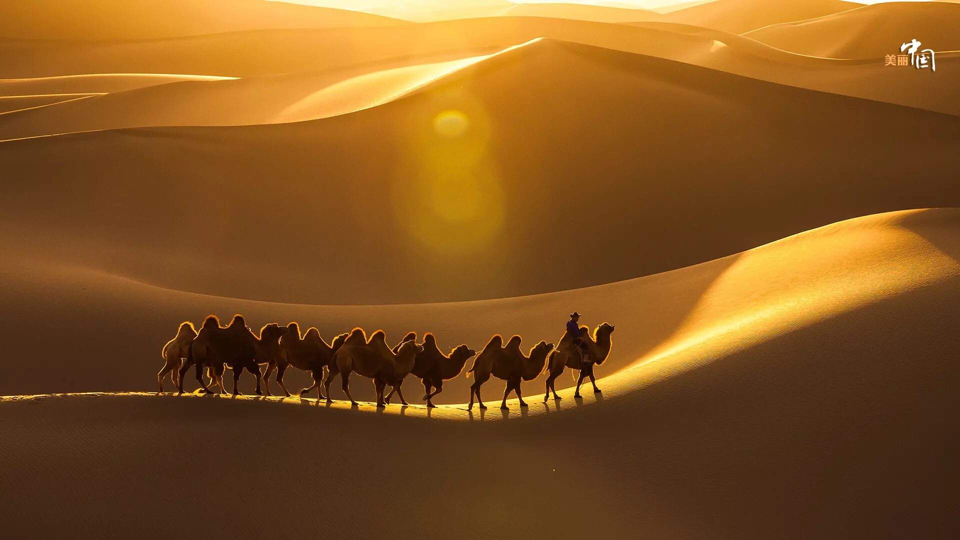 3 дня в пустыне. Человек идет по пустыне. Путешественник в пустыне. Человек один в пустыне. Эль хамра пустыня.