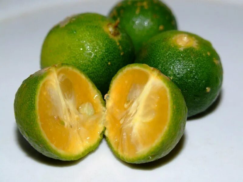 Calamansi. Каламанси лайм. каламанси фрукт. calamansi филиппины. вишня каламанси.
