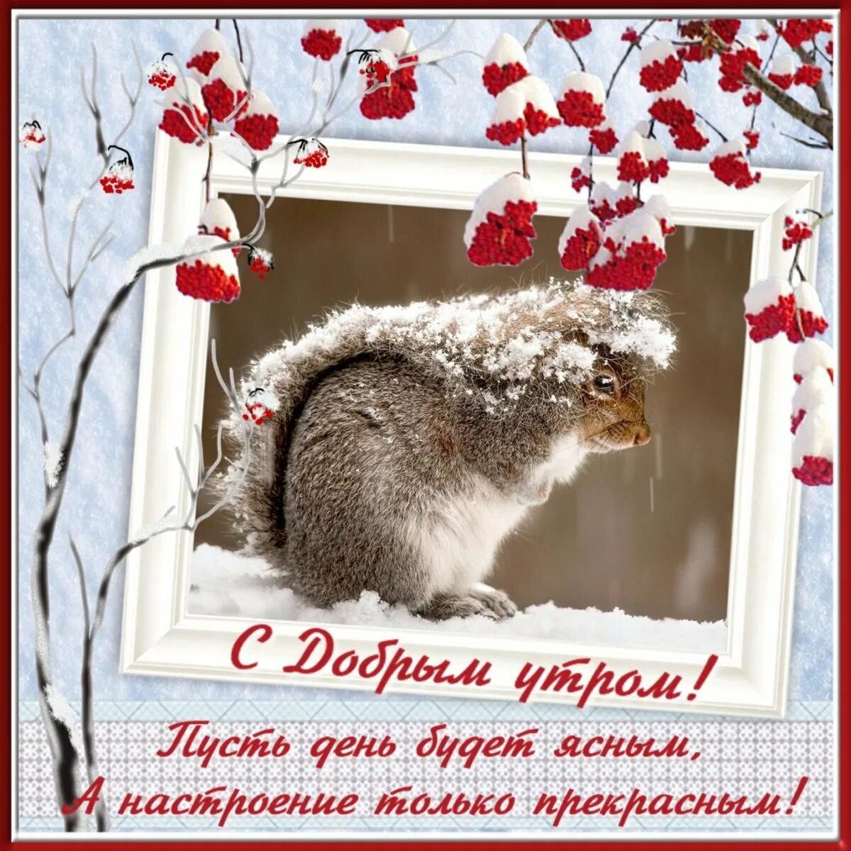 С добрым зимним утром четверга с пожеланиями. Хорошего зимнего дня. доброе снежное утро. с зимним утром. пожелания с добрым зимним утром.