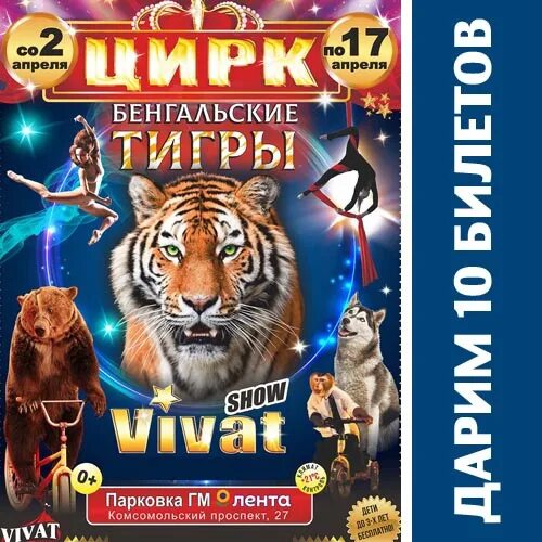 Цирк бенгальские тигры. Цирк про бенгальских тигров. Цирк Челябинск бенгальские тигры. Бенгальские тигры цирк Уфа.