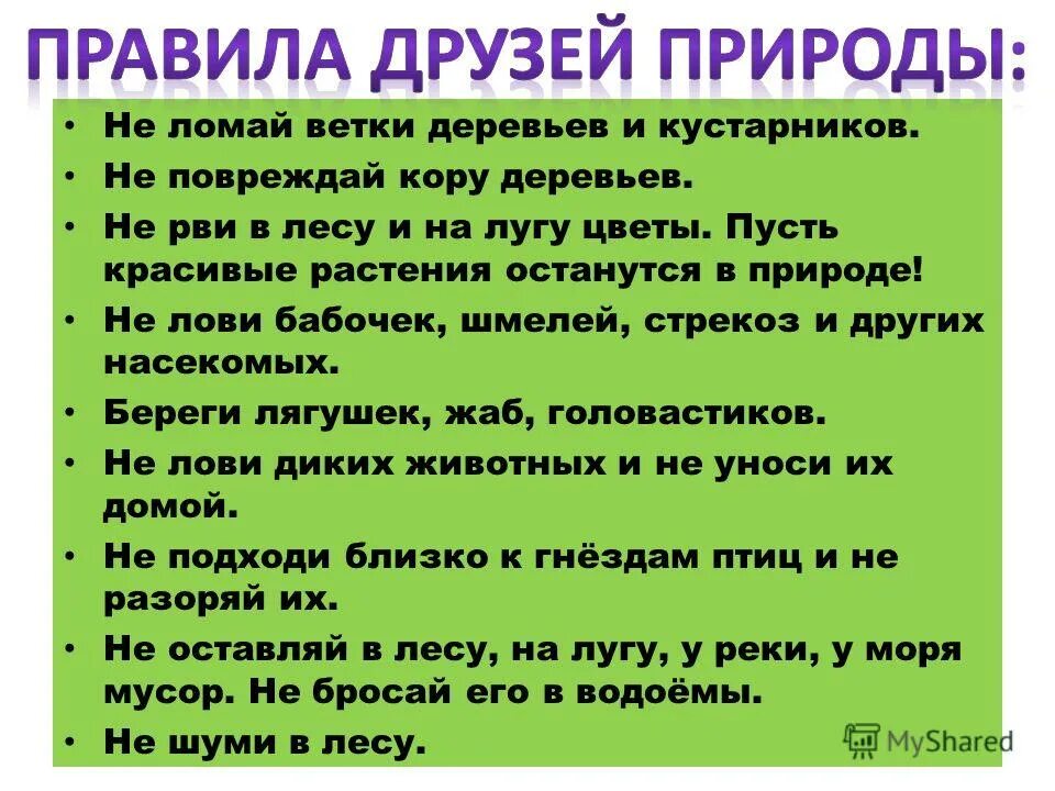 Правила про природу. Правила друзей природы 2 класс.