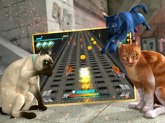 Коты против. Игру коты против собак. Игра кот против собаки. Коты ниндзя игра. Коты против собак игра.