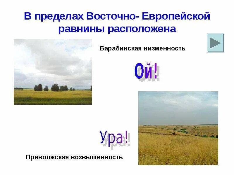 Равнины расположены в пределах. Барабинская низменность. россии равнины барабинская низменность. барабинская низменность климат. где находится барабинская низменность.