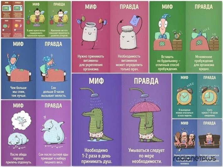 Миф страница. Миф правда. мифы о еде. правда или миф. миф и правда в картинках.