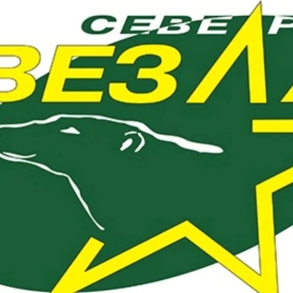 Северная звезда 5 6 7 8. Хк Северная звезда. Северная звезда хоккейный клуб логотип. Северная звезда хк Медведково. Хоккейный клуб Северная звезда Москва Медведково.