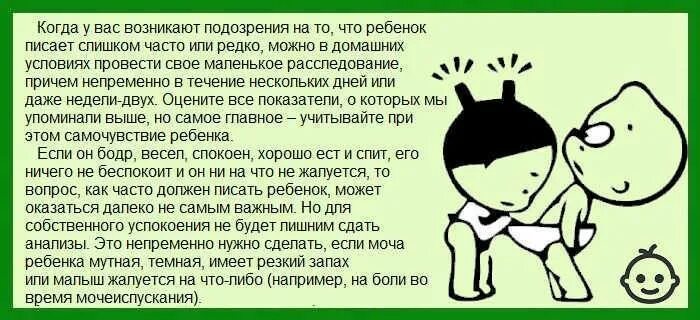 Почему ребенок писает часто. Если ребенок часто писает что делать. Новорожденный часто писает. Как часто должен писать грудничок. Много пью и часто мочусь