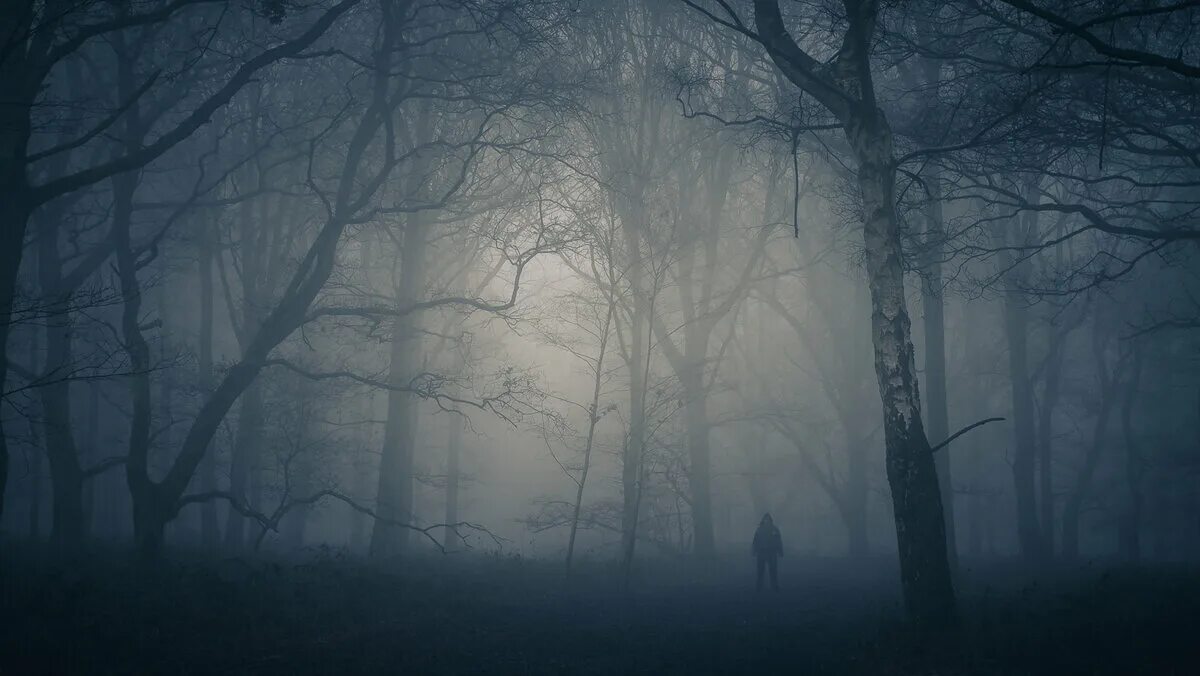 Темный лес в тумане. Лес ночью в тумане. Страшный лес в тумане. Страшный туман. Загадочные туманы